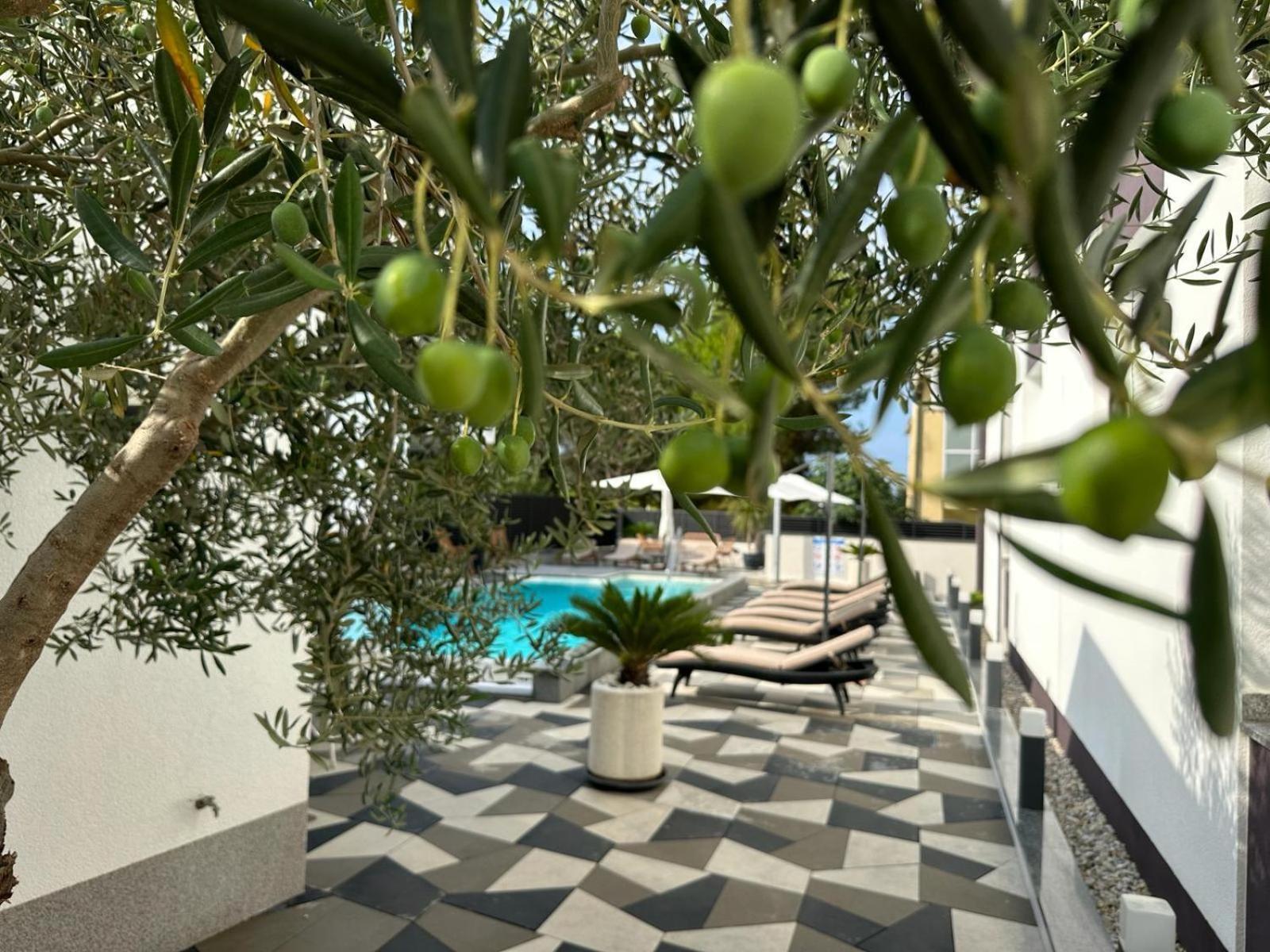 Apartments Laura 1 بريفلاكا المظهر الخارجي الصورة